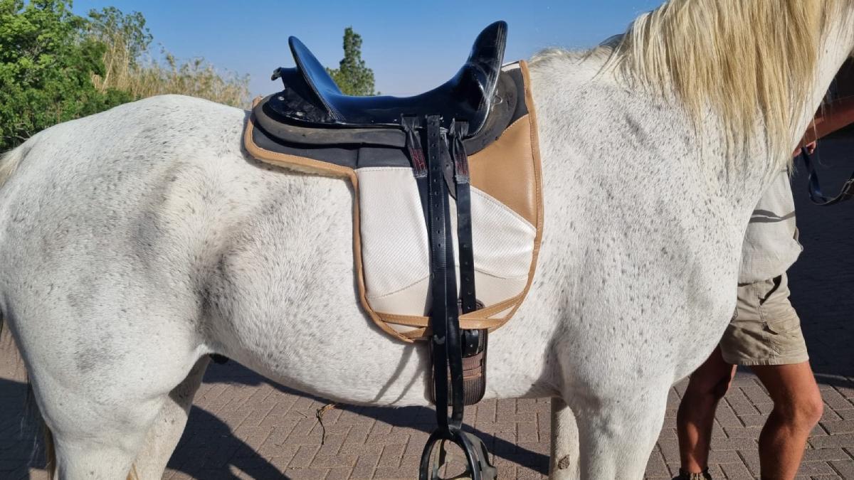 Equipoise Sport